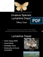 Invasive Species: Lymantria Dispar: Tiffany Chan