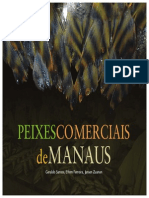 Peixes Comerciais de Manaus