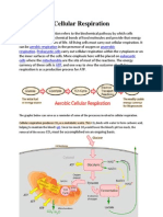 Cellular Respiration