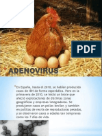 Adenovirus