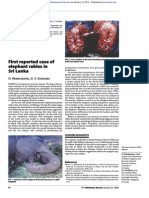 Rabies Elephants Srilanka 1st Report Case