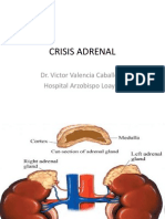 Crisis Adrenal