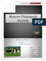 Pinjrapole Society