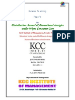 Summer Training On: KCC Institute of Management, Greater Noida