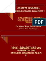 CORTEZA SENSORIAL, SENSACIONES SOMÁTICAS I, DERMATOMAS - Copia 2 PDF