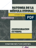 Anatomia de La Médula Espinal