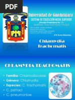 Presentacion Chlamydia Trachomatis