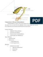 Common Bile Duct (CBD) Stone (Choledocholithiasis)