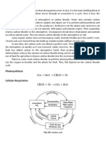 Biogeo Chemical Cycles