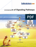 Inhibitors of Signaling Pathways