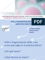 Rocío Núñez - FISH y Fragmentacion de ADN - II Simposio Reproducción Asistida Quirón