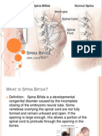 Spina Bifida Presentation