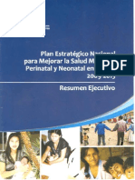 Plan Estratégico Nacional para Mejorar La Salud Materna, Perinatal y Neonatal en Bolivia 2009-2015