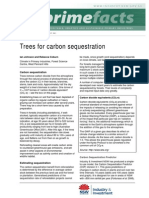 Trees For Carbon Sequestration