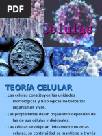 Células