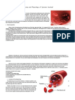 Anatomy and Physiology of Blood and Cardiovascular System