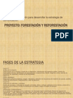 Plan de Comunicación en Forestación y Reforestación