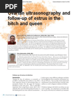 Ovarian Ultrasonography and Follow of Estrus in The Bitch and Queen