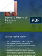 Darwins Theory of Evolution