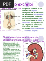 Trabajo de Cta