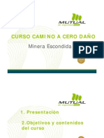 Curso Camino A Cero Daño Mel