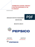 Studyofdistributionchannelstrategyofpepsicoforthepositioningoftheproductinvaranasi 131205121751 Phpapp02