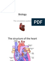 Biology IGCSE Human Circulatory System