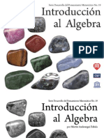 Introducción Al Algebra