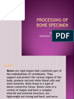 Processing of Bone Specimen