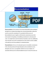 Phytoremediation Is The Treatment of Environmental Problems (Bioremediation)