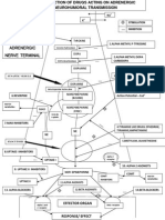 Site of Action of Drugs Acting On Adrenergic Neurohumoral Transmission PDF