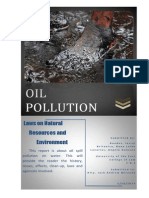 Oil Spill Pollution