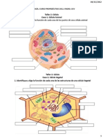 Taller Tema 2 La Celula Como Unidad de Vida