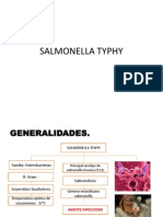 Salmonella Typhi