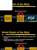 Modal Model of The Mind: Long-Term Memory Working or Short-Term Memory Sensory Memory