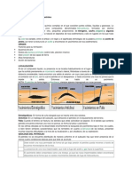 Origen y Formación Del Petróleo