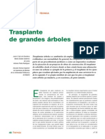 CT3 Trasplante de Grandes Arboles