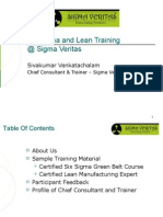 An Introduction To Six Sigma and Lean Training