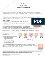 Reference Summary: X-Plain Cold Sores