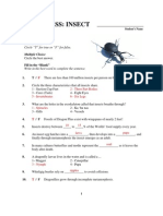 Eyewitness Insect Worksheet Key