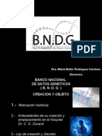 BNDG (Rodriguez Cardozo)