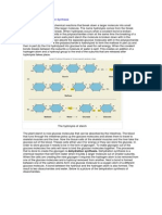 Hydrolysis and Dehydration SynthesisHydrolysis