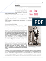 Hipertrofia Muscular PDF