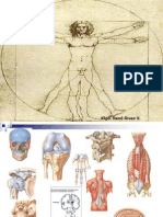 Osteoartrología Generalidades