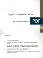 Celula PPT Universidad