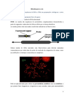 Resumo Hibridização in Situ