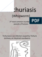 Trichuriasis 2