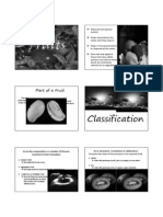 Classification of Fruits: Part of A Fruit