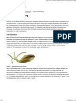 Enzymes in Brewing - Biokemisk Forening