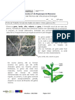 Ficha de Trabalho 7 Estudo Dos Órgãos Da Videira Gema, Gomo Ou Olhos